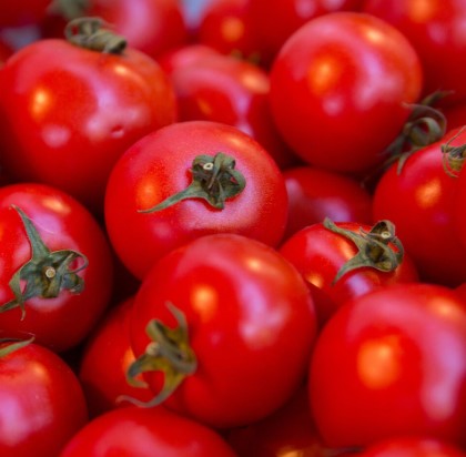 Вредные вещества в помидорах