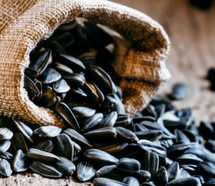 10 Interesting Facts About Sunflower Seeds