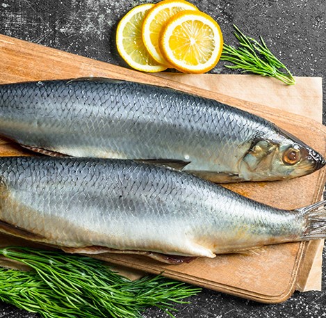 Antibiotics in herring: what is it and how does it affect health?