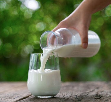 Антибиотики в молоке: риски и меры предосторожности